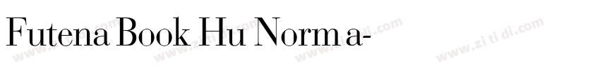 Futena Book Hu Norma字体转换